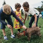 Naturel Hoteldorf Seeleitn 3* Faak am See